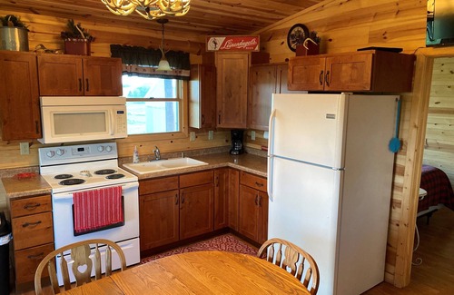 Westby Cabin | Cozy Newly Built Cabin with Scenic Views