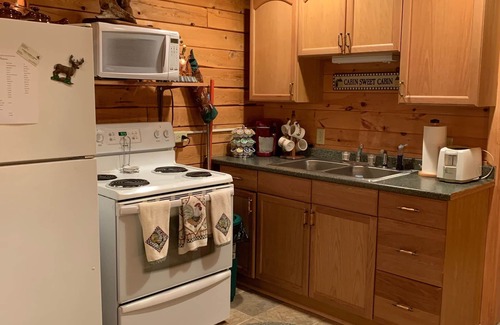 Columbia Cabin | Cozy North Woods Log Cabin