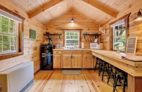 Middle Grove Cabin | Cozy pond-view, vintage charm, nature trails, canoe, firepit, & pet-friendly fun—12 mi from Saratoga
