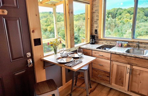 Kantner Cabin | "Cozy Secluded Tiny House with Mountain Views, Short Walk from Parking"