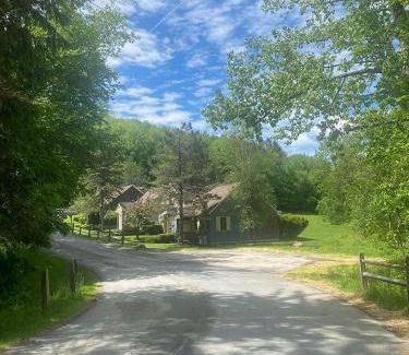 Hancock House | Cozy Ski in out Cabin in Berkshire Resort