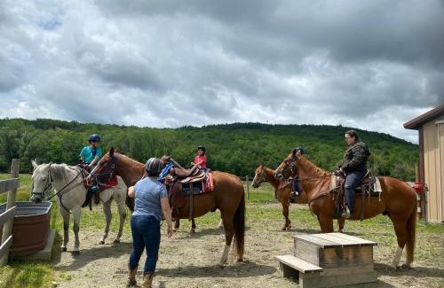Hancock House | Cozy Ski in out Cabin in Berkshire Resort