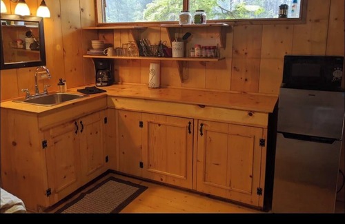 Ashford Cabin | Cozy studio cabin less than a mile to Mt. Rainier entrance.