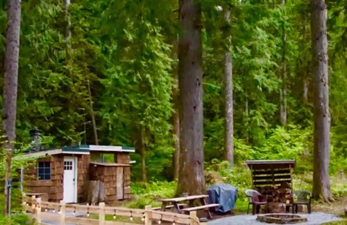 Ashford Cabin | Cozy studio cabin less than a mile to Mt. Rainier entrance.