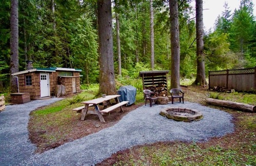 Ashford Cabin | Cozy studio cabin less than a mile to Mt. Rainier entrance.