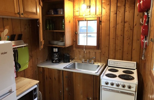 Pentwater Cabin | Cozy "Up North" Cabin in the woods with Pentwater Lake frontage and access