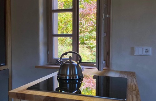 Barnau House | Cozy vacation home in the nature village Bärnau, surrounded by forest and nature - House C