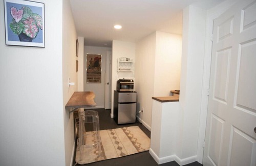 Charlottesville House | Cozy & Walkable Downtown Studio Apartment