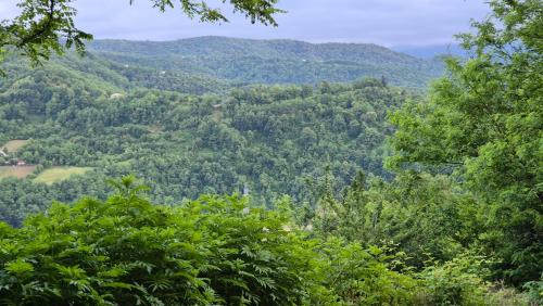 Likani Ski Chalet | Cozy Wooden House in Shrosha, Imereti