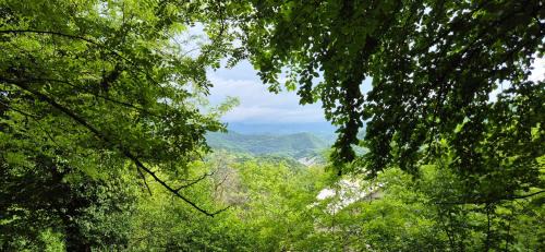 Likani Ski Chalet | Cozy Wooden House in Shrosha, Imereti