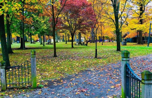 East Aurora Apartment | Craftsman with Private Quaint Relaxing Garden Near Hamlin