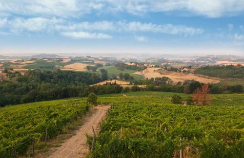 Cardona House | Crealto