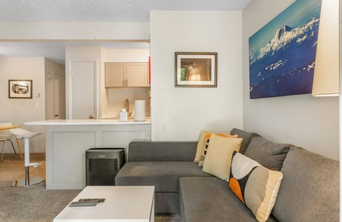 Vail Condo | Creekside Condo, Patio w/Grill, Pet Friendly - On Free Bus Route