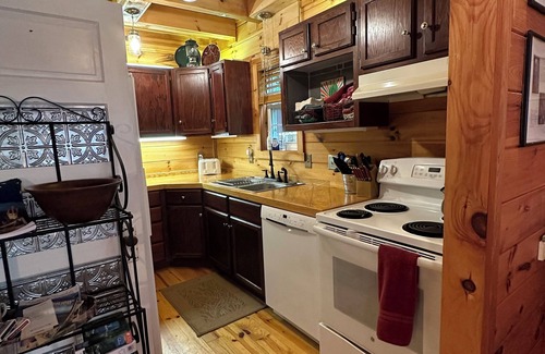 Franklin Cabin | Creekside, Pet Friendly Mountain Log Cabin in the Smokies, Fire Pit + Hot Tub