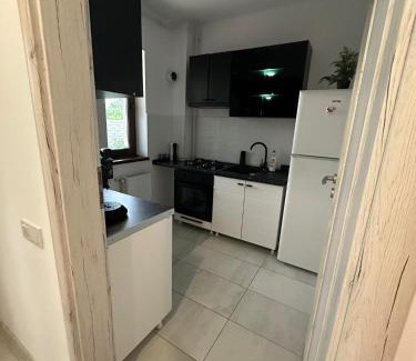 Bragadiru Apartment | Crina Studio