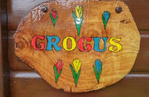 Lanlivery House | Crocus Lodge