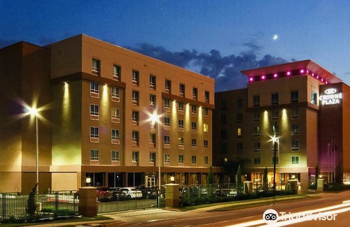 The Villages Hotel | Crowne Plaza Houston Galleria Area, an Ihg Hotel