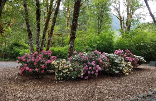 Lewis County House | Custom Built Log Home - We now have internet and wifi throughout the house.