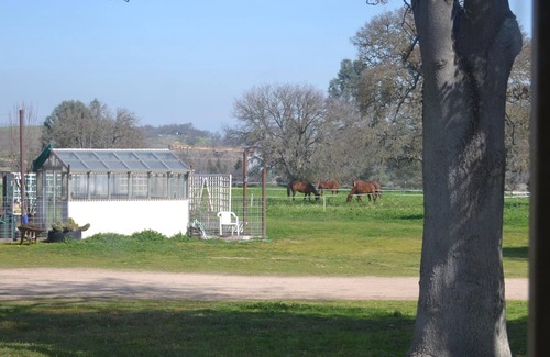 Creston House | Cute Ranch Home in Wine Country