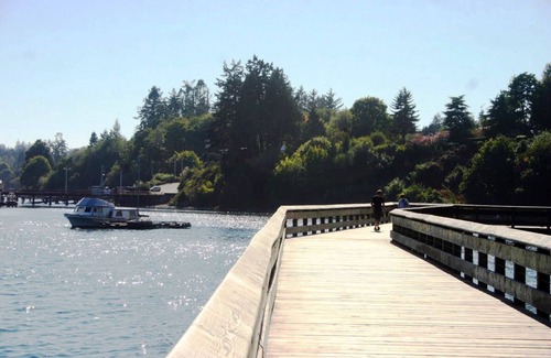 Sooke Cabin | Cute Studio on Oceanfront Property, Parking