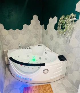 Jean Moulin - Marius Berliet Apartment | Détente, Spa et Parking privé