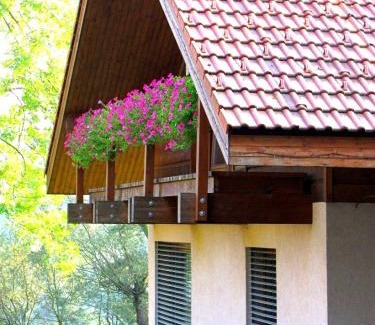 Przno Villa | Dům nad Pržnem