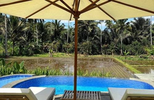 Taro Villa | D'Pondok Sangaji Ricefield View by EPS