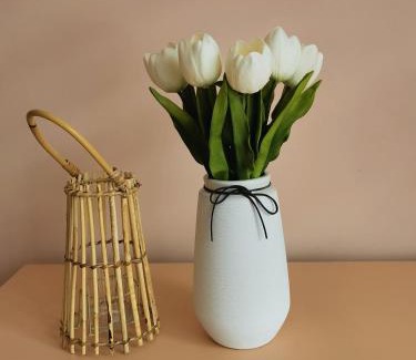 Vratsa Apartment | Dabnika