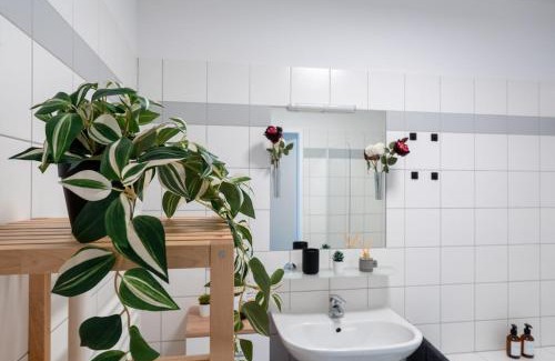 Wahring Apartment | Dachgeschoss im Altbaustil