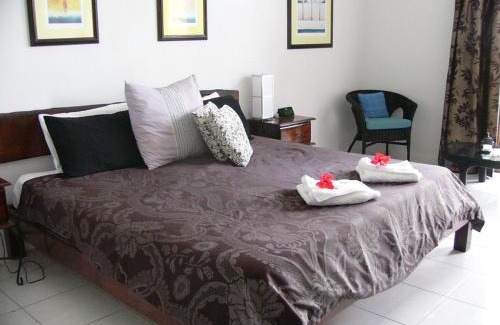 Lower Daintree Bed & Breakfast | Daintree Wild Bed & Breakfast