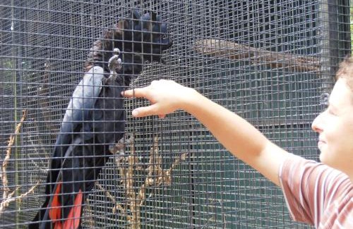 Lower Daintree Bed & Breakfast | Daintree Wild Bed & Breakfast