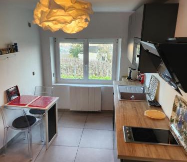 Epernay House | Dans les vignes d'Epernay, Maison avec vue spectaculaire