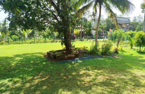 Malimbada Cabin | Danushka villa