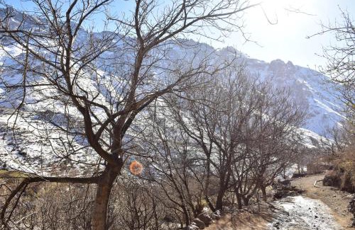 Tacheddirt Cabin | Dar Angour Tacheddirt