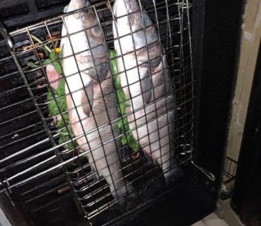 San Lawrenz Villa | Dar Dragun: luxury 3BR bright spacious house & pool