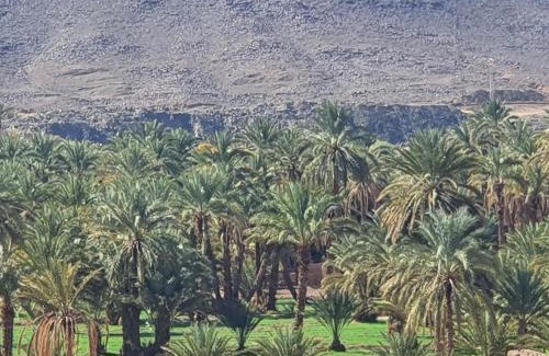 Aremd House | Dar lamane