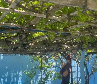 Oulad Ghanem House | Dar nadia