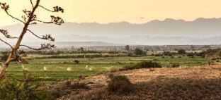 Volmoed House | De Denne Country Guest House