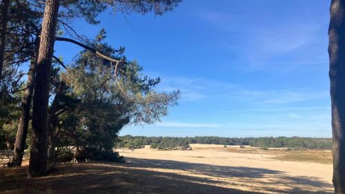 Udenhout Bed & Breakfast | De Logeerkamer