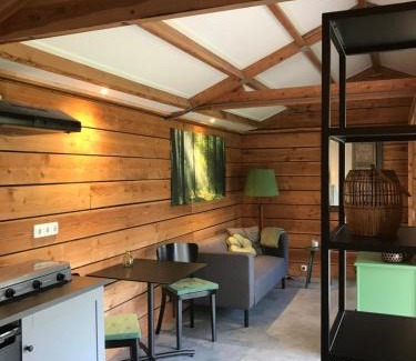 Jonkerslan Ski Chalet | De Túnfûgel (tiny house)