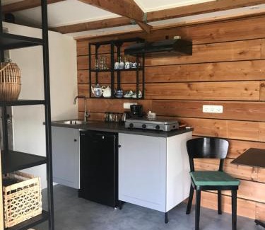 Jonkerslan Ski Chalet | De Túnfûgel (tiny house)