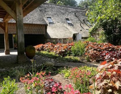 Elp Bed & Breakfast | De Vijf Suites