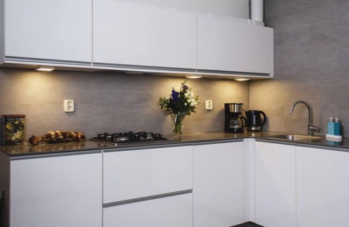 Municipality of Delfzijl Apartment | Delfzijl by Interhome