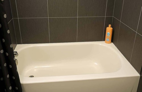 Ravenswood Apartment | Delightful 1BR Apt in Ravenswood