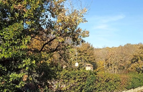 Lake Bracciano Apartment | Delightful Rooms With Private Bathrooms in an Independent Apartment With Garden
