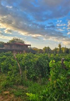 Copacabana House | Della monica