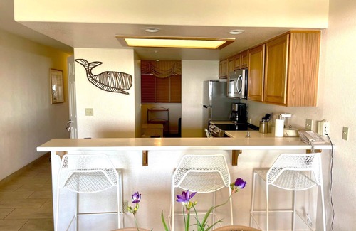 Rio del Mar Villa | Deluxe 2/2 Ocean View Villa @ Seascape Resort