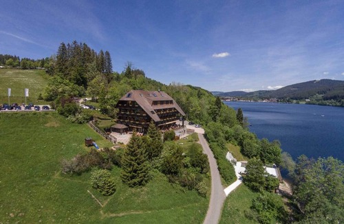 Hinterzarten Apartment | Deluxe double room with shower/WC