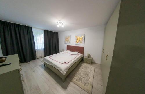Piatra Neamt Apartment | Deluxe studio