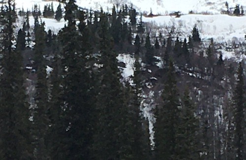 Denali House | Denali Adventure / Fish Denali Beach Cabin